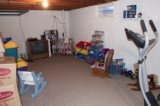 Downstairs rec room