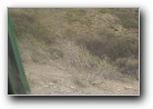 [Click to enlarge image]