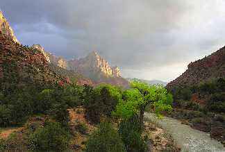 Zion N.P.